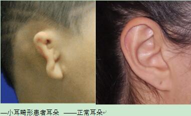 1678235792159007.jpg 未標(biāo)題-1.jpg