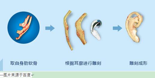 1678235805223566.jpg QQ截圖20230308083607.jpg